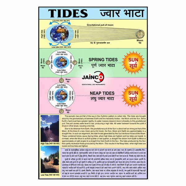 Tides Chart